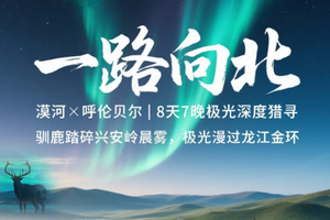 【一路向北丨8天】漠河 呼伦贝尔 大兴安岭 龙江金环 去遥远的漠北 赴一场绿野仙踪丨8人起小团