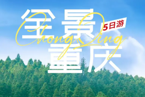 【全景重庆丨5天】2-6人团 天生三桥 仙女山 龙水峡地缝 李子坝安居古镇 大足石刻 磁器口 小车团