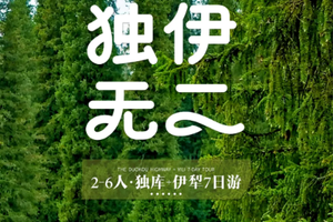 【独库伊犁丨7天】2-6人小团 环游伊犁 独库公路 恰西森林 薰衣草 赛里木湖 那拉提 巴音布鲁克 安集海丨团期29期 