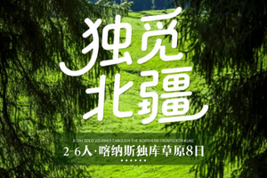 【独觅北疆丨8天】2-6人团 喀纳斯 独库 魔鬼城 禾木 五彩滩 将军山 那拉提 巴音布鲁克丨团期32期