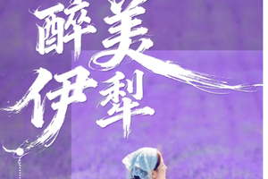 【醉美伊犁丨8天】每周六发团 那拉提草原 恰西森林 昭苏湿地 夏塔徒步 天马浴河 喀拉峻 赛湖 乌苏 独山子峡谷丨大巴团