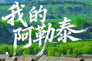 【阿勒泰游丨8天】每周六发团 天山天池 江布拉克 阿勒泰 阿禾公路 喀纳斯 白哈巴 魔鬼城 乌伦古湖丨大巴团
