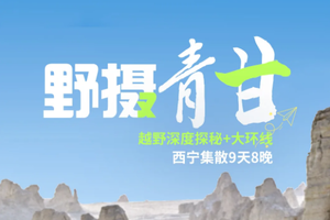 【野摄青甘丨9天】2-8人团青甘大环线 黑独山 青海湖 天峻石林 哈拉湖 察尔汗盐湖 翡翠湖丨每周五六发团 