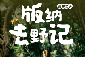 【版纳秘境丨5日】2-8人团 秘境版纳/普洱两地解散 曼听公园 野象谷 傣族园 中科院植物园