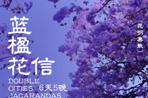 【蓝楹花信丨6天】2-12人｜昆明&西昌·双城蓝花楹+攀枝花·浪漫凤凰花+昭觉索玛花+元谋土林+九十九里温泉