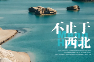 【西北丝路丨8日】2-8人团 经典丝路 鸣沙山 敦煌 莫高窟 嘉峪关 七彩丹霞 门源花海 黑独山 胭脂山 水上雅丹