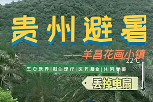 【贵州避暑】22度贵阳避暑 羊昌花画小镇 90元/天丨含一日三餐
