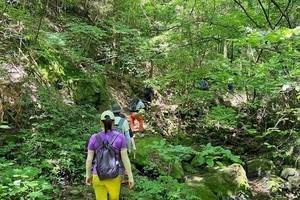 【周日徒步】5.24号 黄陂素山寺 徒步登山