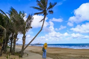 豪华VIP车【邂逅湛江•南极村•硇洲岛】 元月1-7日 人少景美 逐浪大海 休闲7日行