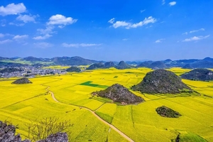 【滇东南全景9日游】元阳梯田-罗平油菜花-建水-碧色寨-坝美-普者黑-东风韵-抚仙湖-东川红土地-元谋土林