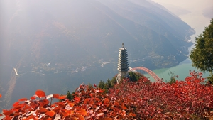 豪华VIP车【巫山红叶】12.12晚-14号 徒步三峡龙脊 文峰观漫山红遍 包船游巫峡 登翠屏峰 观神女峰 飞凤峰