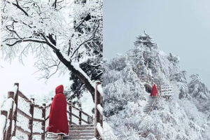 豪华VIP车【老君山3日游】1月1-3日 登金顶 观十里画廊雾凇雪景 赠送网红斗篷拍照 