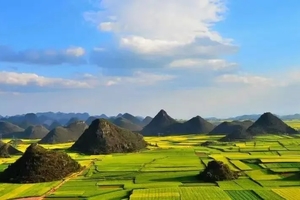 豪华VIP车【春节•云南9日游】2.15-23 红土地，抚仙湖、建水古城、元阳梯田、普者黑、罗平油菜花、万峰林、龙宫