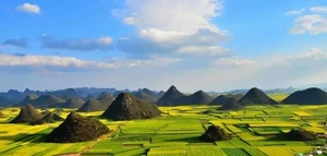 豪华VIP车【春节•云南9日游】2.15-23 红土地，抚仙湖、建水古城、元阳梯田、普者黑、罗平油菜花、万峰林、龙宫