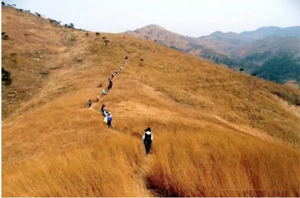 【黄陂龙王尖-亲子徒步】12.20/21（周六\周日）秋摄龙王尖，赏高山草甸， 寻百年古寨