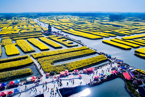 【清明·扬州4日游】4.4-4.7 泛舟千垛水上油菜花海 漫步瘦西湖烟柳画桥 瞻仰中山陵百年风华