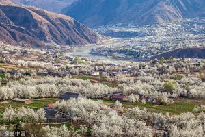 【寻春纪·金川梨花4天3晚】 万树金川雪，百里小环春
