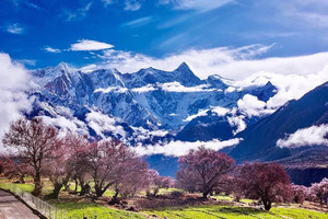 【寻春纪·317桃色川藏11天11晚】雪域巡藏迷，桃花醉远客