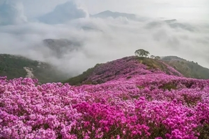 已成行【泸沽湖 双飞9日游含机票】4月20-28日 索玛花海-邛海-泸沽湖-虎跳峡-白水台-巴拉格宗