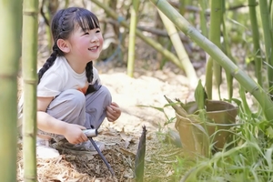 【清明爬山-王功山小环线】4月5日 大冶王功山小环线+挖竹笋/野菜