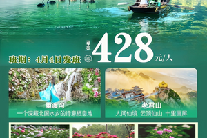 特价428元 4月4-6日【洛阳牡丹花+洛邑古城+老君山+重度沟】 纯玩3日游