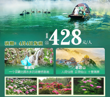 特价428元 4月4-6日【洛阳牡丹花+洛邑古城+老君山+重度沟】 纯玩3日游