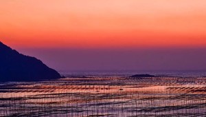已成行【霞浦特价1980】（武汉起止VIP车）5月27-31号行摄最美滩涂，海岛光影霞浦●杨家溪-榕枫公园 休闲5日游