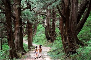 已成行【蜀汉三国丨8天】5.23-30号 探秘千年古蜀道 三国古城 山水瀑布 武汉出发VIP大巴团