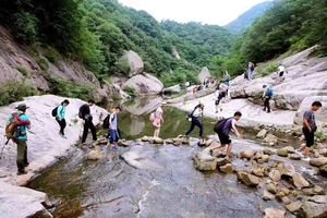 湿足之旅【周日·九女潭】6.7 大悟九女潭清凉 溯溪徒步