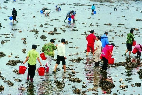 【赶海一号】之宝贝去哪儿亲子游周末详情版