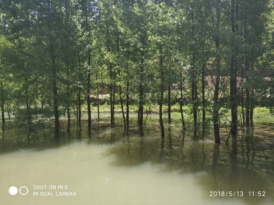 IMG_20180513_115203_1