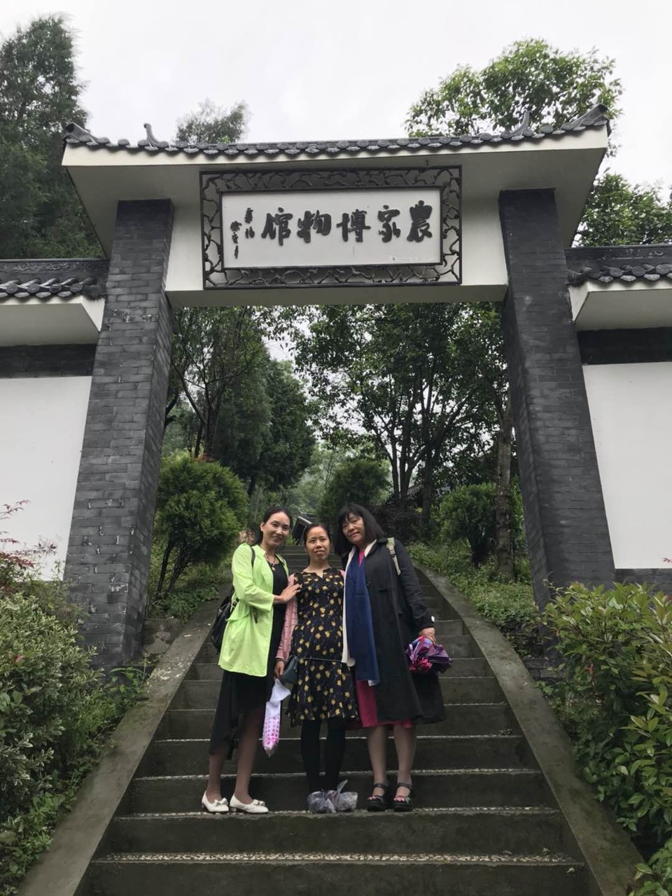 mmexport1527153062231