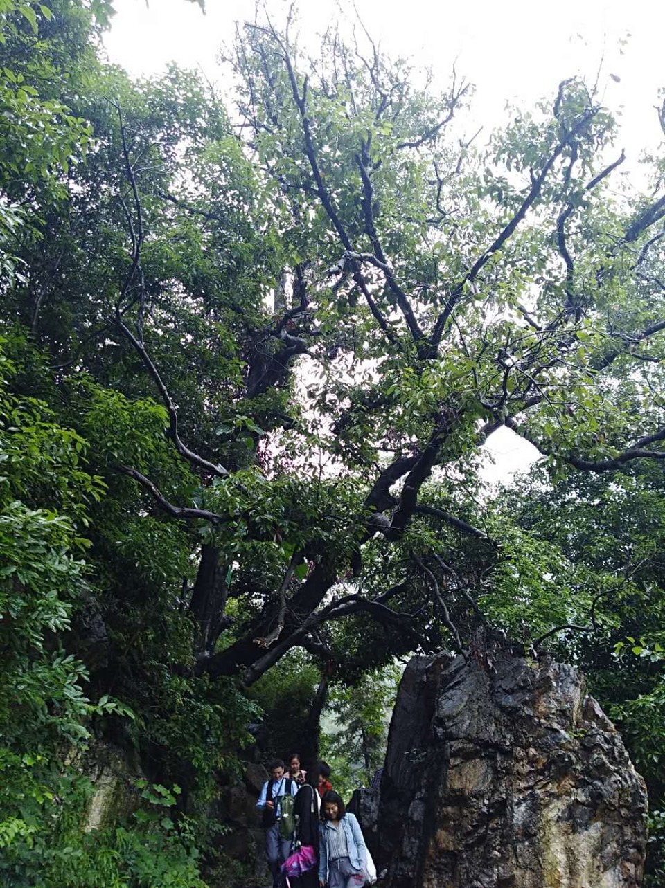 mmexport1527153167225