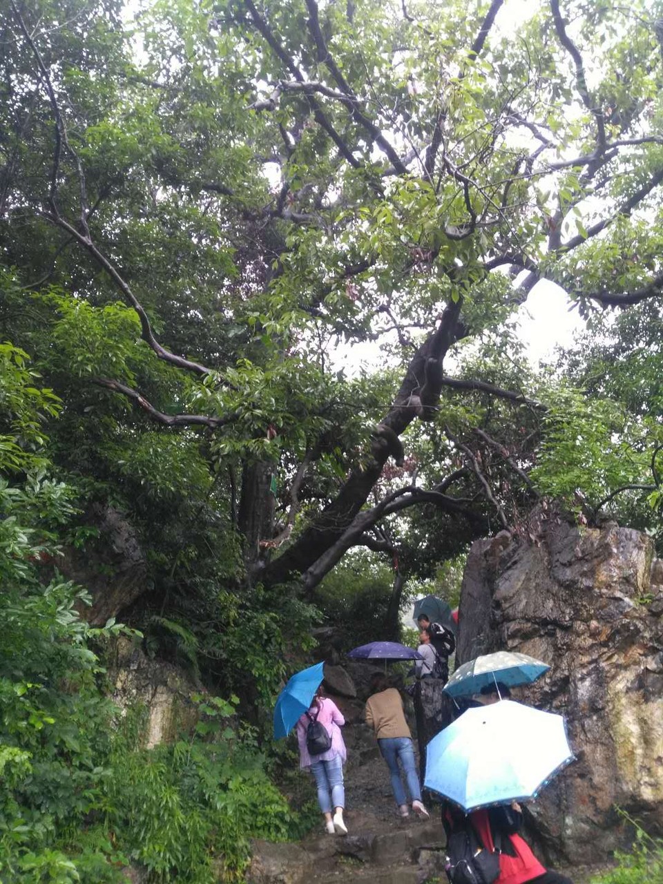 mmexport1527153184223