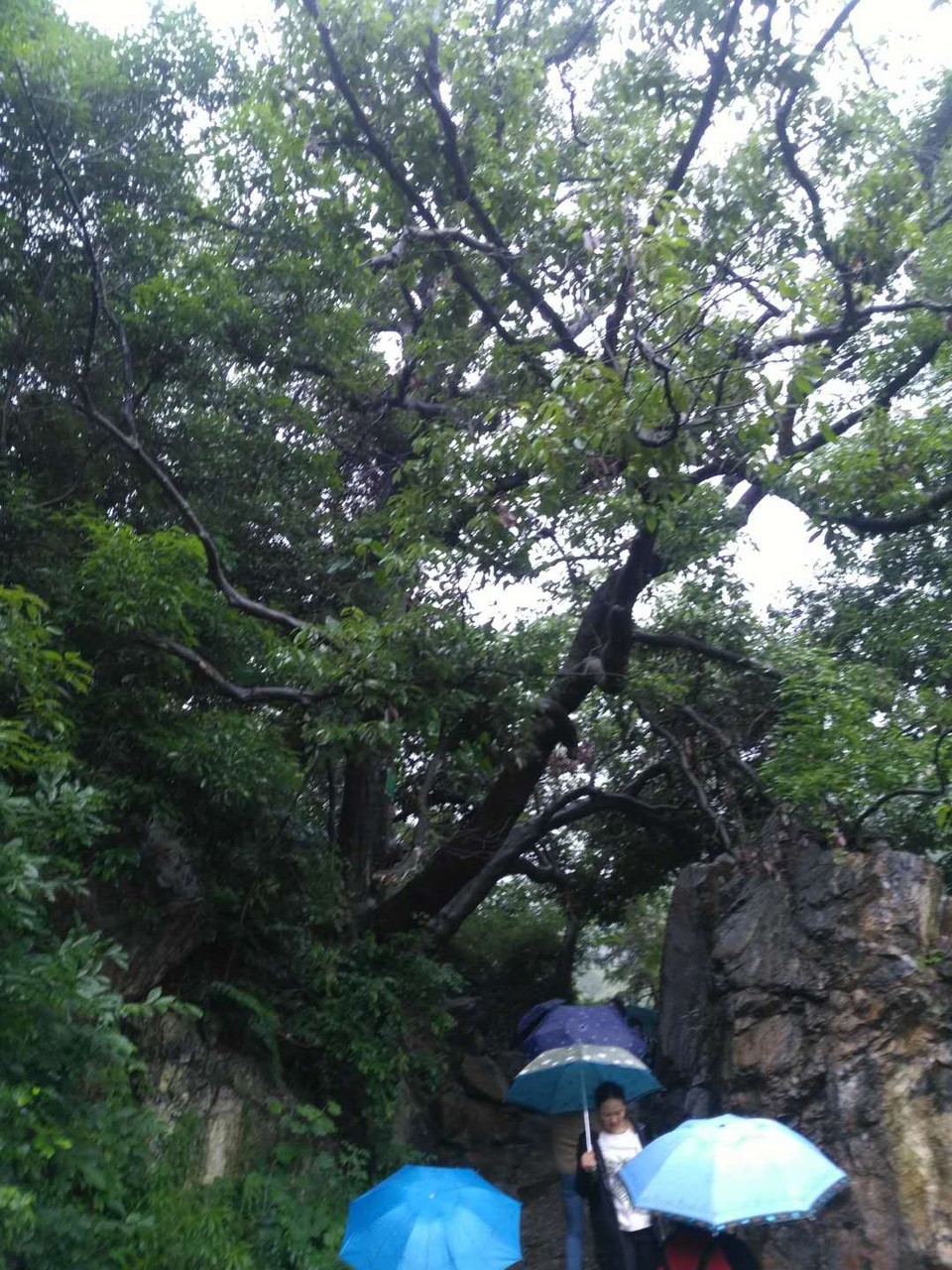 mmexport1527153190438