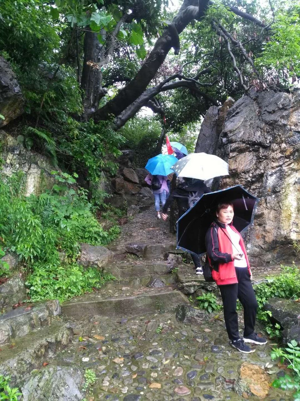 mmexport1527153194463