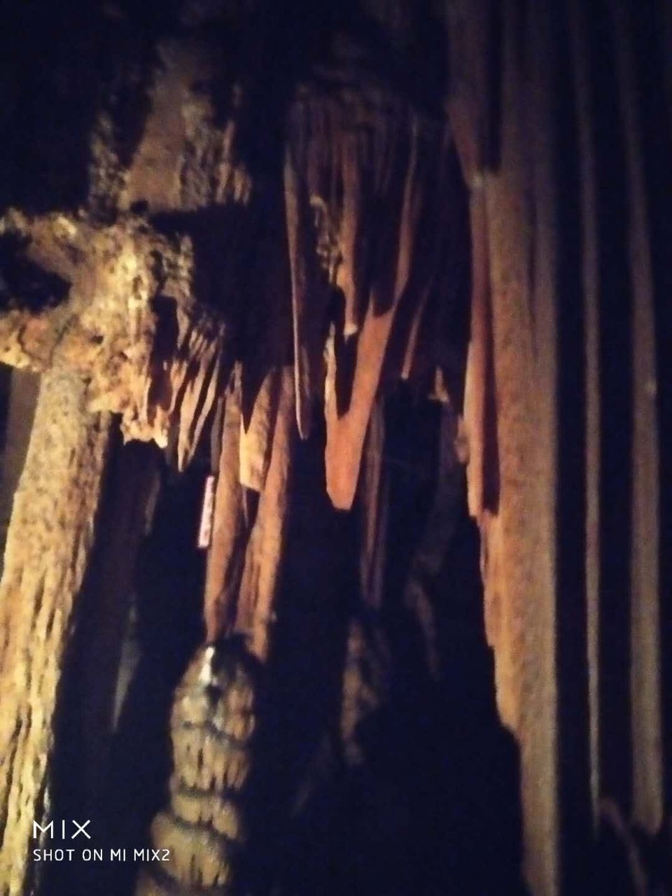 mmexport1527153264686