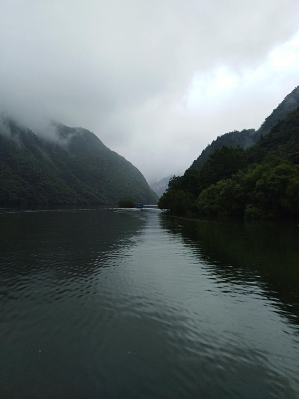 mmexport1527153296608