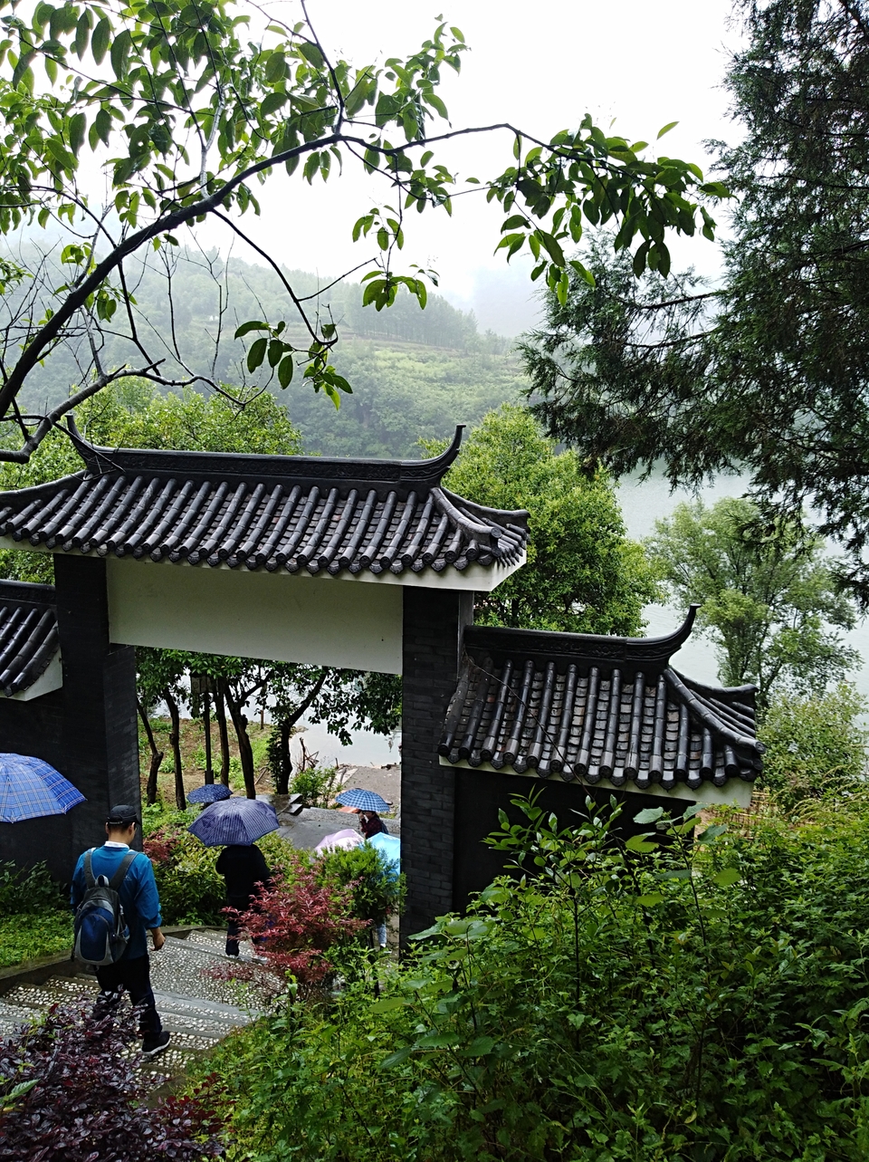 mmexport1527153300698