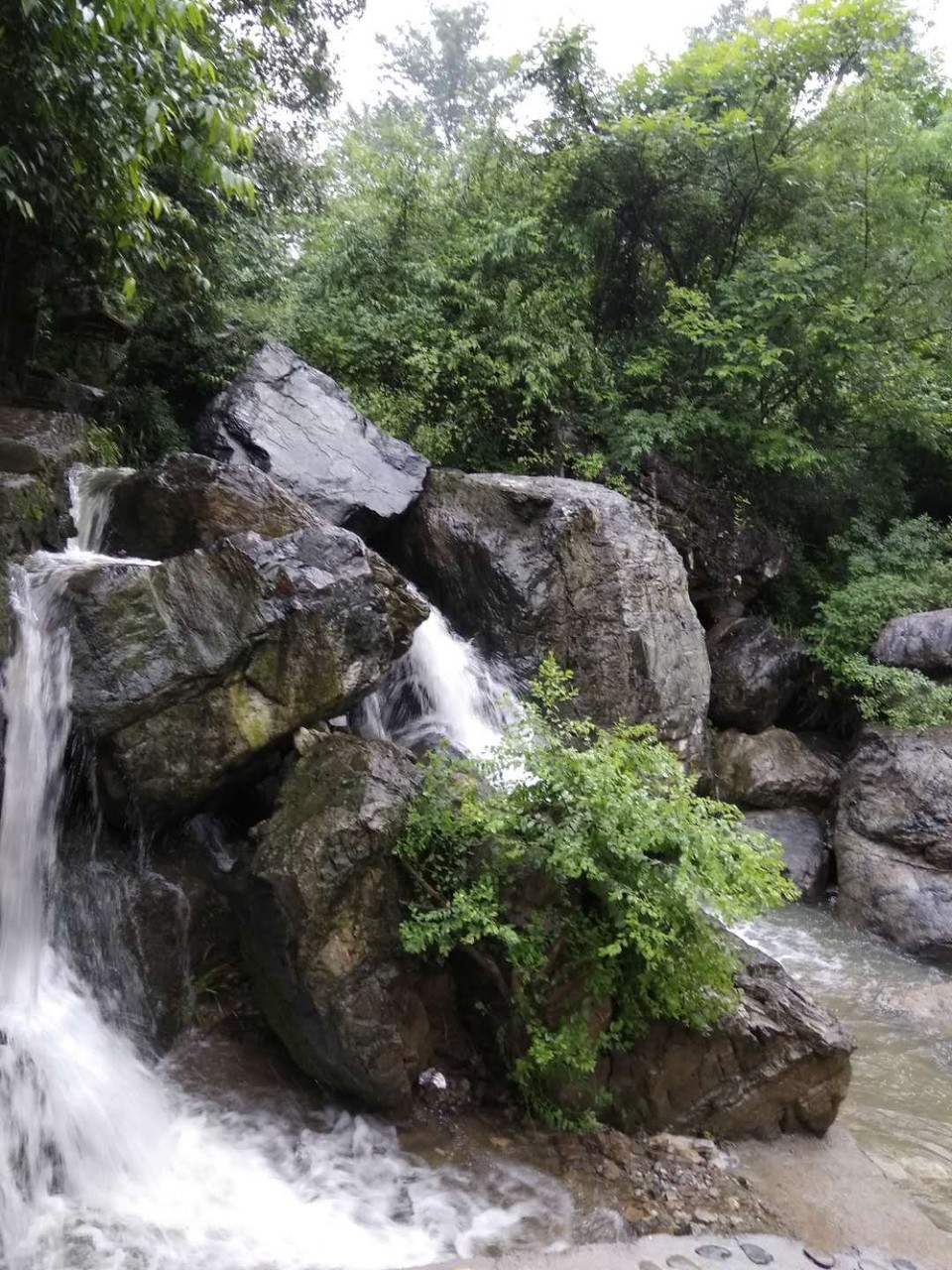 mmexport1527153311139