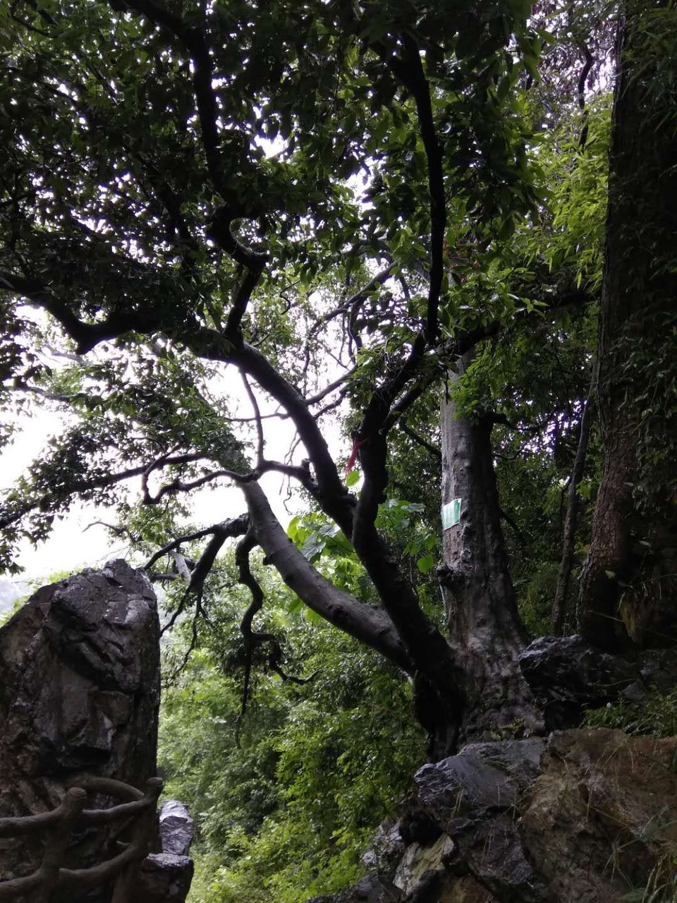 mmexport1527153316518