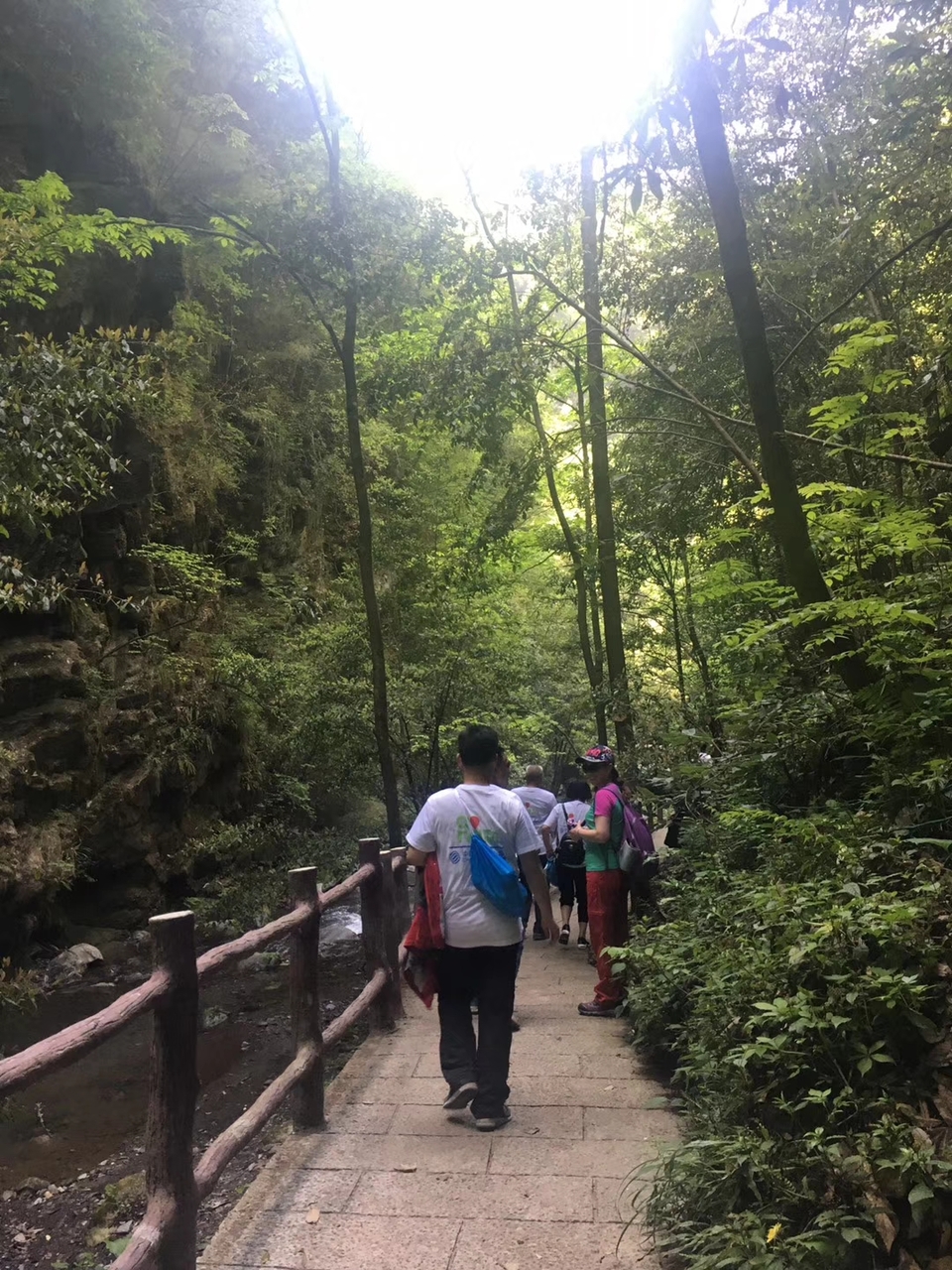 mmexport1524988268681