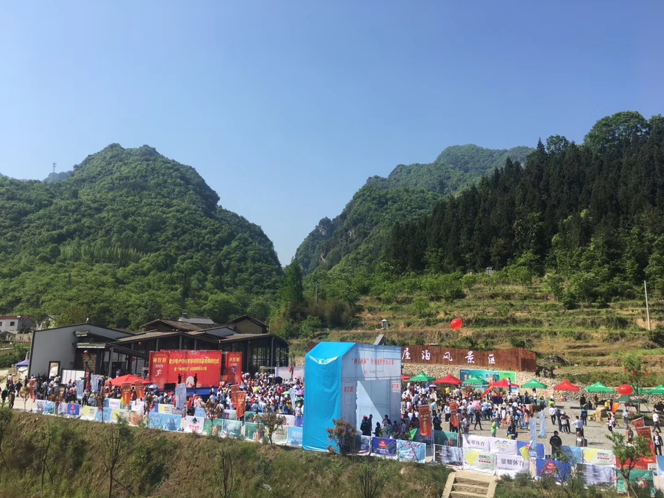 mmexport1524988295010