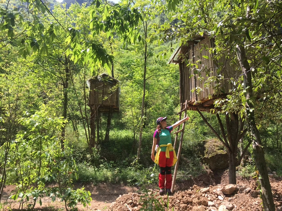 mmexport1524990525625