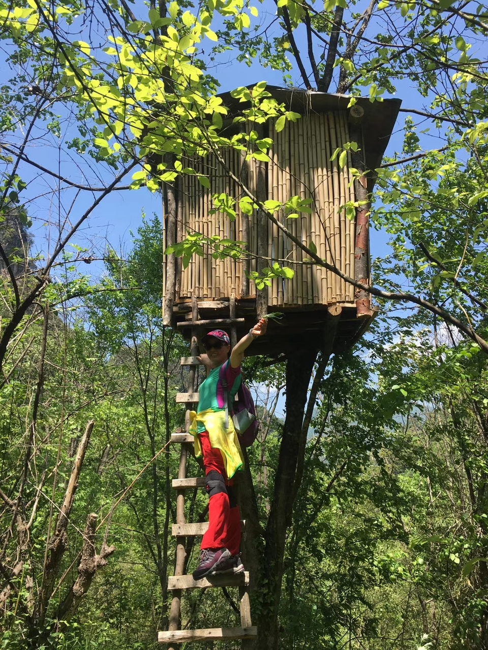 mmexport1524990538781