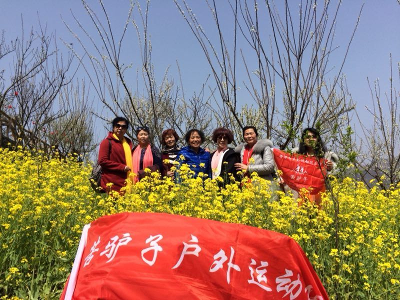 mmexport1522226997142