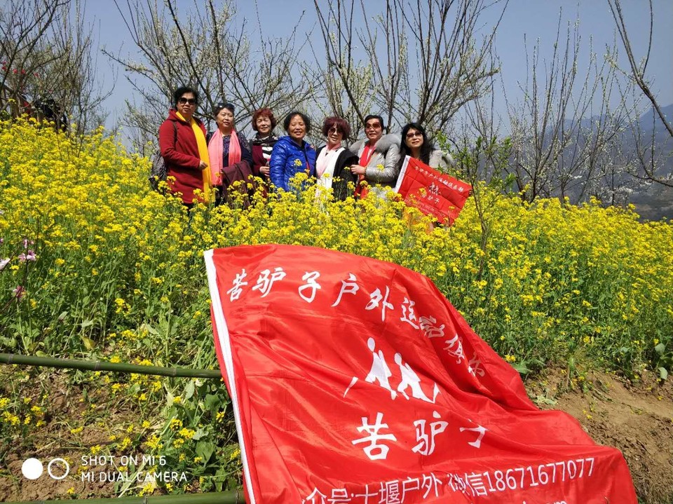 mmexport1522227020232