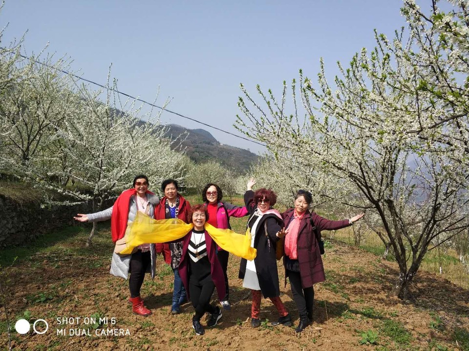 mmexport1522227035867