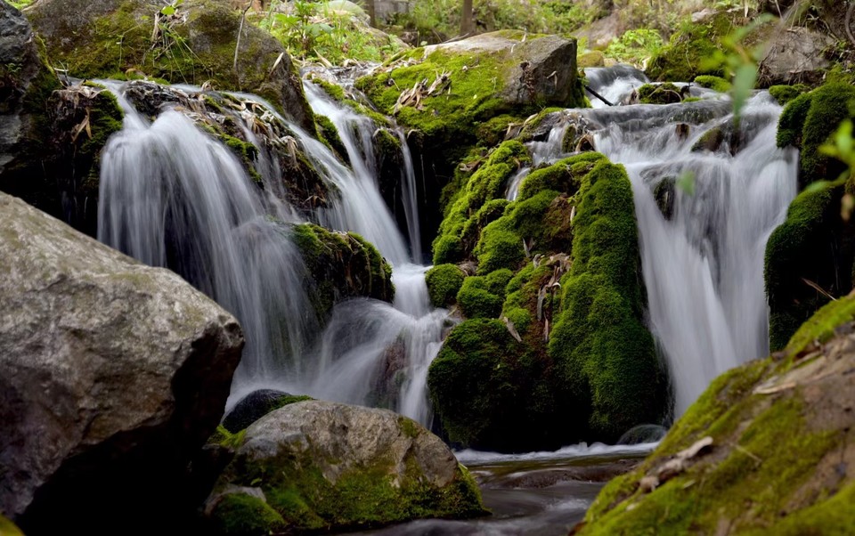 mmexport1522315359743