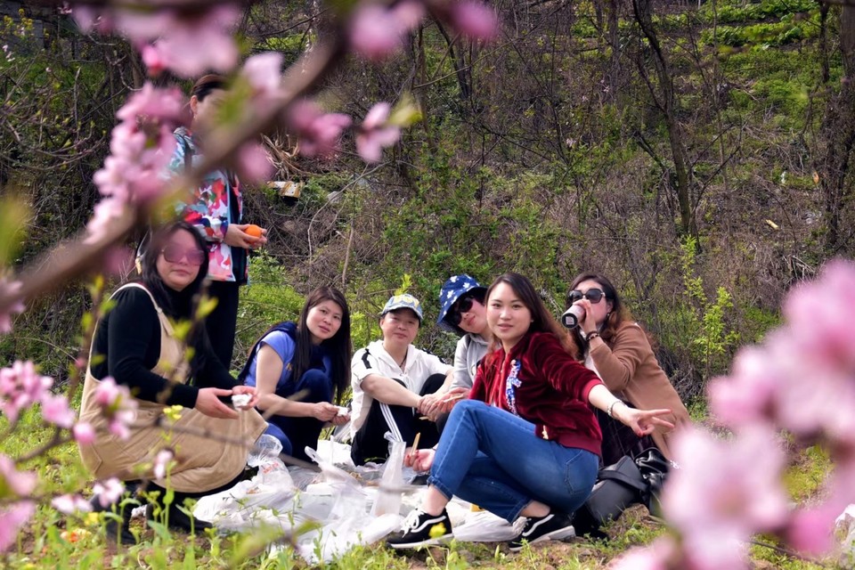 mmexport1522315446828